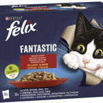 FELIX Fantastic Pachet plicuri pt pisici, cu Pui, Vită, Iepure şi Miel 12x85g, Felix