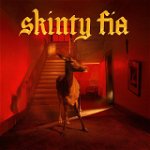 Skinty Fia - Vinyl (45 RPM) | Fontaines D.C., Partisan Records