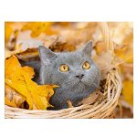 Tablou pisica gri in cosulet frunze toamna pisici - Material produs:: Tablou canvas pe panza CU RAMA, Dimensiunea:: 30x40 cm, 