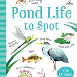 Pond Life to Spot (Usborne Minis)
