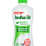 Ludwik Detergent pentru vase 450 g Menta, 