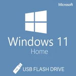 Microsoft Windows 11 Home, 64 bit, Multilanguage, OEM, USB