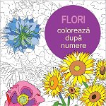 Coloreaza dupa numere - Flori - Else Lennox - carte - DPH, DPH - Didactica Publishing House
