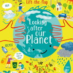 Lift-the-Flap Looking After Our Planet Usborne Books