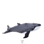 Jucarie Plus Venturelli National Geographic Balena 40 cm