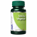 Siliciu Vegetal DVR Pharm 60 capsule (TIP PRODUS: Suplimente alimentare, Concentratie: 300 mg), DVR Pharm