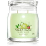 Yankee Candle Iced Berry Lemonade lumânare parfumată Signature 368 g, Yankee Candle