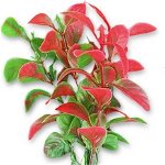 Plante artificiale Blister, 10 cm rosu, 1B03, Happet