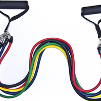 Sistem de antrenament fitness JT 003 cu corzi extensibile, GAVE