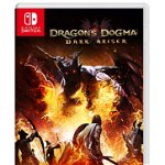 Dragons Dogma Dark Arisen NSW