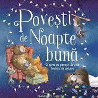 Poveşti de noapte bună - Hardcover - Flamingo, 