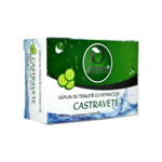 Sapun cu Extract de Castravete 100 gr, Ortos