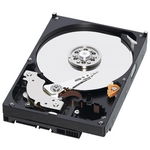 HDD 1000 GB; S-ATA II; 7200 RPM; 64 MB BUFFER; WESTERN DIGITAL; WD10EZEX; NOU, Baseus