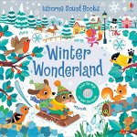 Winter Wonderland Sound Book, Board book - Sam Taplin