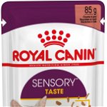 ROYAL CANIN FHN Sensory Taste în Sos Plic pentru pisici 85g, Royal Canin