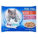 Prevital Plic Cat 4x100 g Premium Curcan Vita Iepure