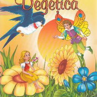 Degetica - Povesti Ilustrate, Corsar