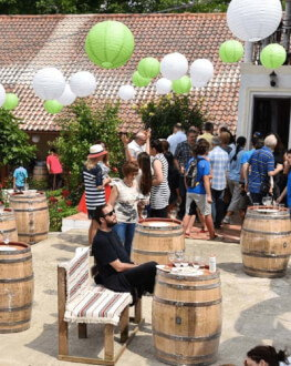 Smart experience - degustare de vinuri la crama Rotenberg voucher valabil 12 luni de la achiziție Ceptura de Jos