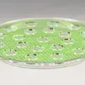 RAKI Tava servire shot-uri pentru 21 pahare, D34cm, policarbonat, verde neon, Raki