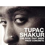 Rose that Grew from Concrete, Paperback - Tupac Shakur