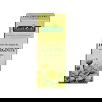 Extract din Muguri de Tei argintiu 50 ml, PlantExtrakt