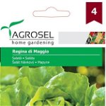 Seminte Salata Regina di Maggio drajat, 500 seminte, Agrosel, Agrosel