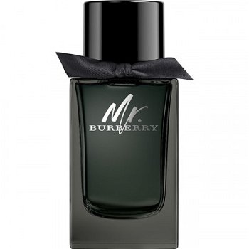 Burberry Mr. Burberry Eau de Parfum 150ml - Parfum de barbat
