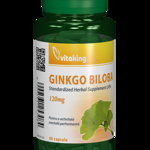 Ginkgo Biloba, 120Mg, 60cps - Vitaking, Vitaking