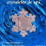 Oracolul cristalelor de apa - masaru emoto manual in romana, StoneMania Bijou