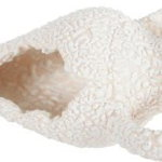 Decor pentru acvariu Koral Amphora, Zolux, 8.5x14x6 cm, Alb, S, Zolux