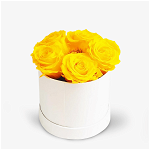 Cutie cu 5 trandafiri galbeni criogenati - Standard, Floria
