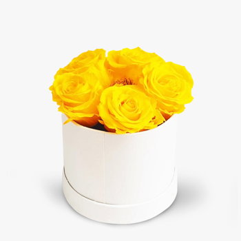 Cutie cu 5 trandafiri galbeni criogenati - Standard, Floria