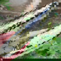 Bagheta masaj serpentin leopard m2, druzy.ro - Cristale, Home Deco