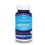 Hepatic+ Stem 120 capsule, Herbagetica