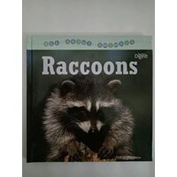 Raccoons,