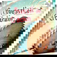 Povesti de Craciun (paperback), Editura Gama