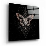 Tablou din sticlă Insigne Da Vinci Style Butterfly, 40 x 40 cm