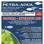 HRANĂ CONGELATĂ Daphnia - roşu intens 100g, Petra Aqua