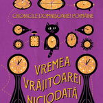 Vremea Vrăjitoarei Niciodată. Cronicile Domnișoarei Poimâine (Vol. 1) - Hardcover - Adina Rosetti - Arthur, 