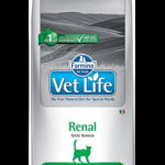 FARMINA Vet Life Renal Cat 10 kg, FARMINA