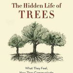 The Hidden Life of Trees: What They Feel