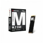 SSD M.2 Biostar M700 1TB PCI-E Gen3x4