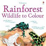 Rainforest Wildlife to Colour - Paperback brosat - Megan Cullis, Susan Meredith - Usborne Publishing, 
