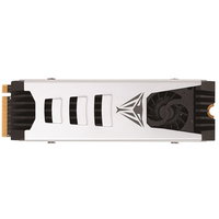 Viper PV573 M.2 PCI-E Gen5 x4 NVMe 2TB 14GB/s 2000k IOPs (PV573P2TBM28H), Patriot