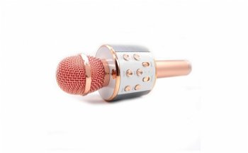 Microfon wireless sistem karaoke profesional cu boxe si Bluetooth - 2 in 1, Online DCM