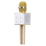Microfon Karaoke Wireless SIKS® cu Bluetooth si boxa inclusa