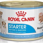 ROYAL CANIN Starter Mousse 195g, Royal Canin