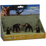 Figurine Familia Cimpanzeilor Collecta