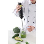 Blender stick, Hendi, designed by Bronwasser, 250 W, 6 viteze, display LCD, 71x(h)444 mm, HENDI