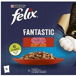 FELIX Fantastic Pachet plicuri pentru pisici, cu Pui şi Vită 4x85g, Felix